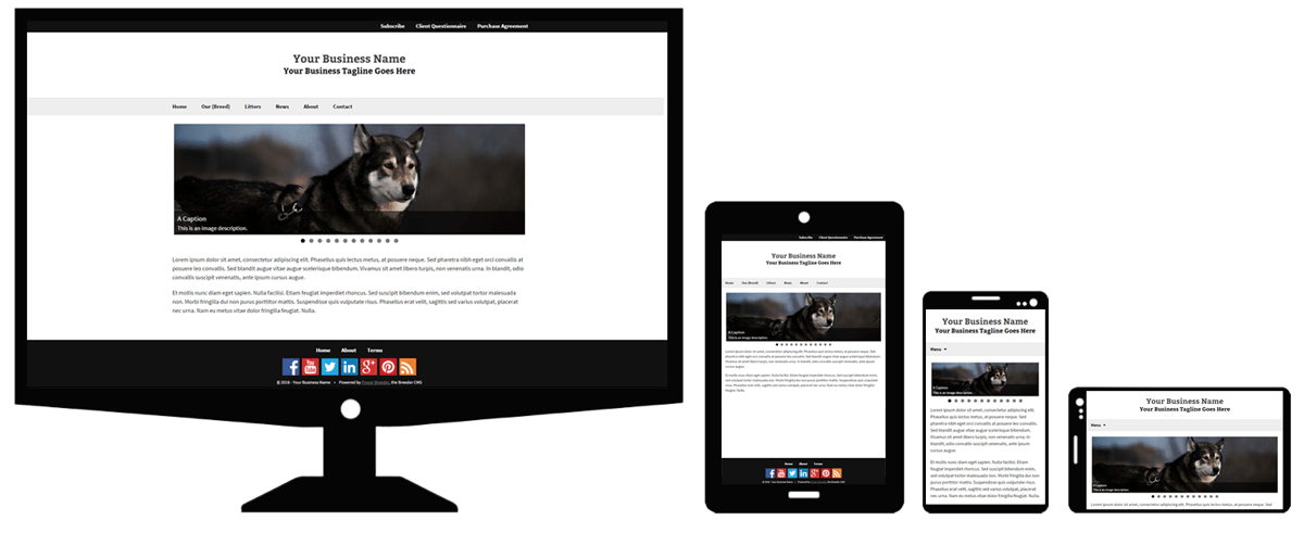 responsive-themes-min